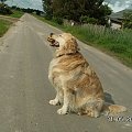 i bardzo ładnie podam ja Jurkowi, niech sobie sam ponosi