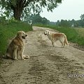 to był spacer. Popołudniowy