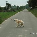 Moja