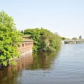 Widok na Cybinę wezbraną wielką wodą. Cybina to dopływ Warty w Poznaniu na Ostrowiu Tumskim.