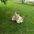 ale wybraliśmy się na popołudniowy
