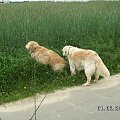 A potem trzeba było stanąć w kolejce