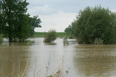 Powódź na Dunajcu #Dunajec #powódź #xnifar #rafinski