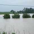 Powódź na Dunajcu #Dunajec #powódź #xnifar #rafinski