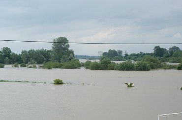 Powódź na Dunajcu #Dunajec #powódź #xnifar #rafinski