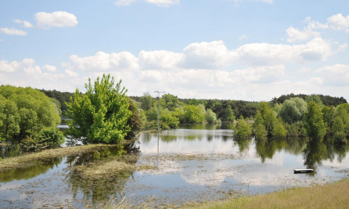 Rozlewiska powodziowe Warty w Puszczykowie pod Poznaniem