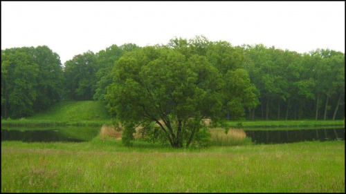 Spacerkiem po arboretum :)