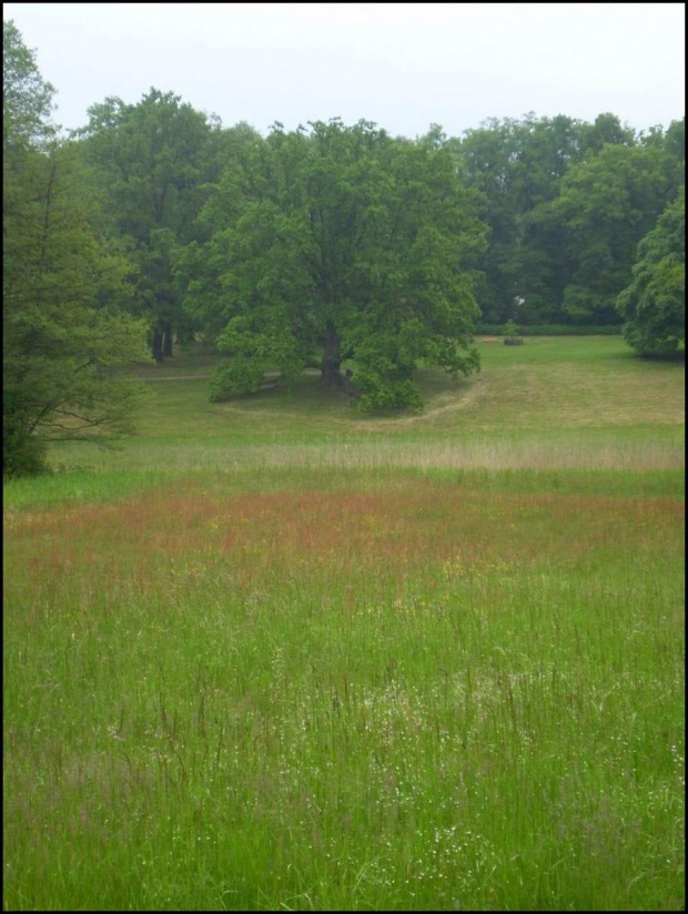 Spacerkiem po arboretum :)