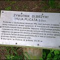 Wszędzie opisy rosnących tutaj drzew , krzewów itp .