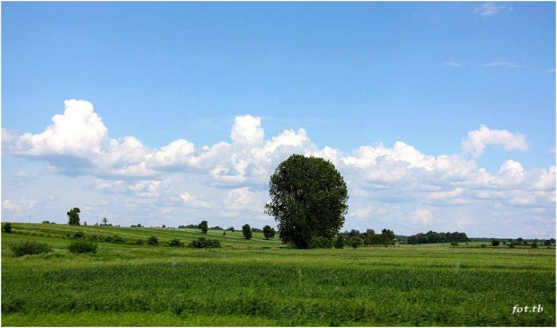 Słonecznego dnia...