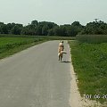 jakaś przemożna siła rzuciła ją w górę