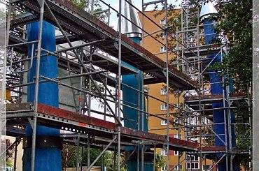 #rzeźby #Toruńk #OsiedkeMokre #drzewa