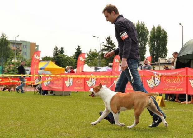 30.05.2010 #wystawa