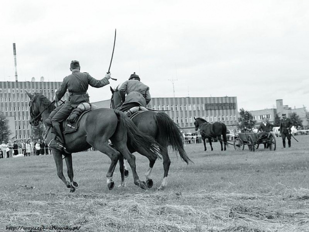 X jubileuszowy Piknik Kawaleryjski w Suwałkach - 13 czerwca 2010 #XJubileuszowyPiknikKawaleryjski #Suwałki #konie #kawaleria
