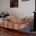 A teraz muszę lecieć i ją przesunąc bo jak się obróci na prawy boczek to zleci