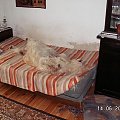 Żebyście nie myśleli, że rzucam słowa pod monitor