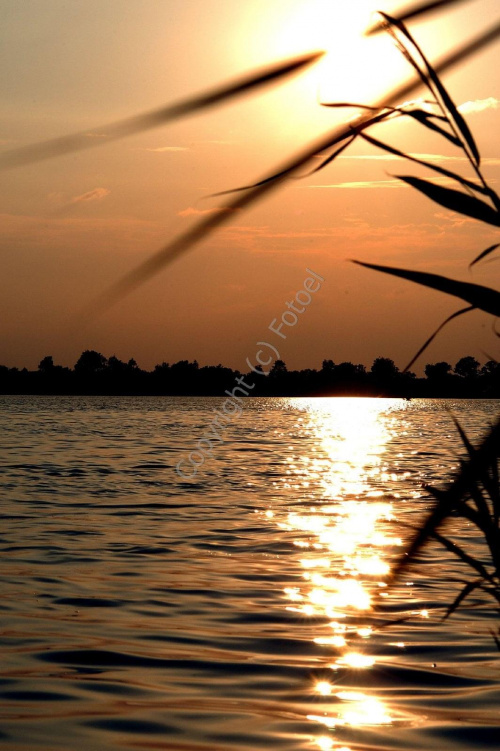 Barwy lata... #fotoel #ZachódSłońca #lato #jezioro #woda #wakacje