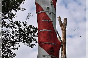 #rzeźby #Toruń #OsiedleChrobrego #Mokre #Bacha