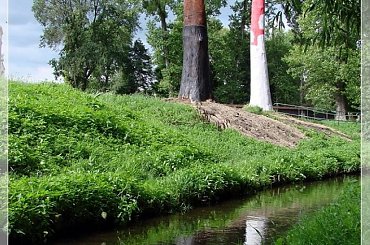 #rzeźby #Toruń #OsiedleChrobrego #Mokre #Bacha