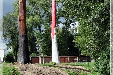 #rzeźby #Toruń #OsiedleChrobrego #Mokre #Bacha