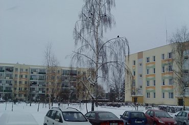 Zimowe widoczki #Zima #śnieg