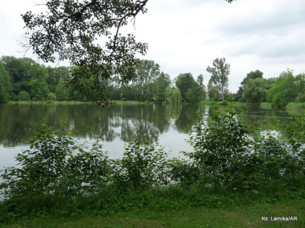 Nieborów - park