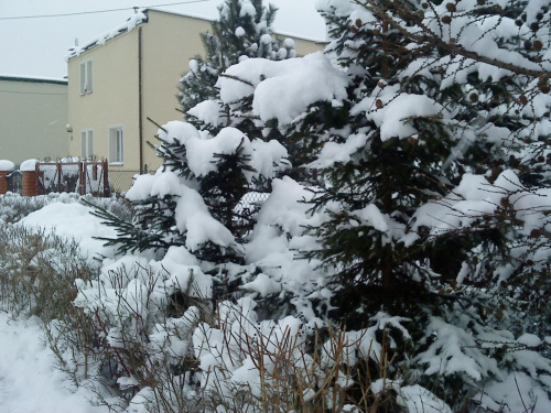 Zimowe widoczki #Zima #śnieg