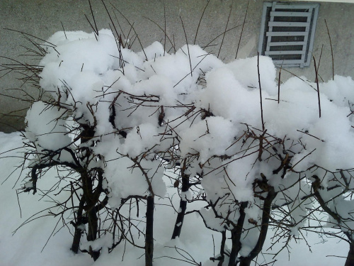 Zimowe widoczki #Zima #śnieg
