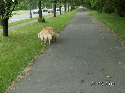 Później Sobieskiego czyli normalnie