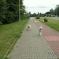 dzisiaj sp[otkaliśmy Nelsona