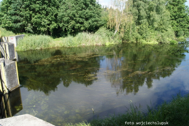 Samborowookolice
nad Drwęcą