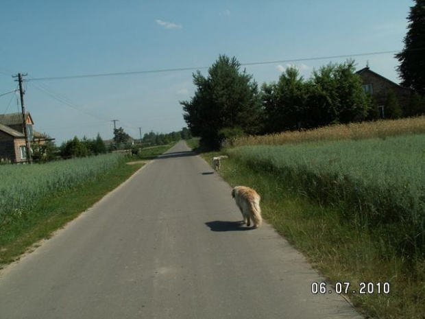 więc spacerki dzienne sa króciutkie i pod orzech