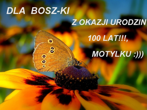 Bożenko kochana, w tym Dniu i nie tylko,życzę Ci wszystkiego, co w życiu najlepsze, najpiękniejsze,niech Ci się spełniają wszystkie plany i marzenia, , każdy dzień niech niesie radosne chwile ( takoż i noce też :)), no i zdrówka nieskończonego . Ogromn...