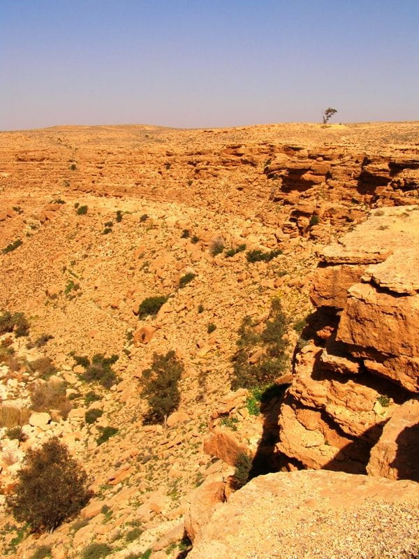 Gebel Nafusa - okolice Arhaybat