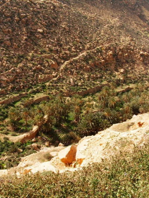 Gebel Nafusa - okolice Arhaybat