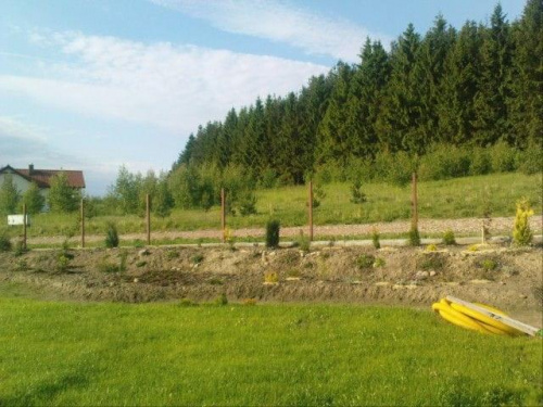 widok rabaty od drzwi wejsciowych domu 05.2009