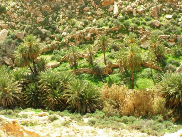 Gebel Nafusa - okolice Arhaybat