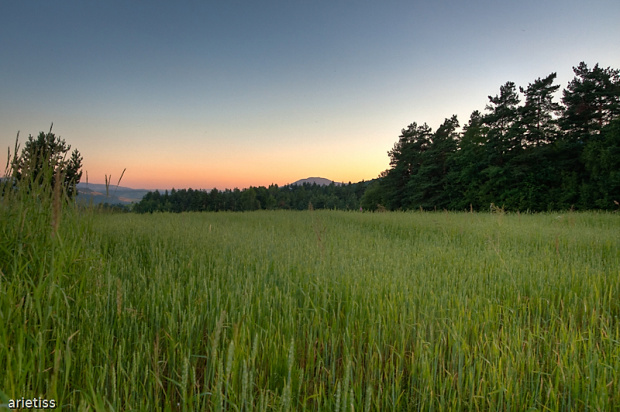 Czekając na plony... #natura #pole #widok #krajobraz #HDR #zborze #arietiss