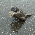 powiedział, że czekał na mnie