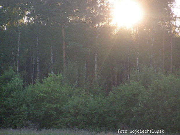 wieczorny spacerek z maluszkiem i Olympusem SP 510UZ