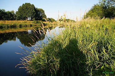 daje się dla samego dawania, a nie po to, by otrzymać coś w zamian ... (Richard Carlson)
------ wyjeżdżam na kilka dni w swoje ukochane strony ------
pozdrawiam Was wszystkich bardzo cieplutko ... :))) #woda #KanałGliwicki #drzewa #lato
