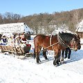 luty'2010 - plener ZTL Sanok w skansenie (zdjęcia Zygmunta Natera) #plener #luty #skansen #ZTLSANOK