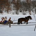 luty'2010 - plener ZTL Sanok w skansenie (zdjęcia Zygmunta Natera) #plener #luty #skansen #ZTLSANOK