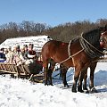 luty'2010 - plener ZTL Sanok w skansenie (zdjęcia Zygmunta Natera) #plener #luty #skansen #ZTLSANOK