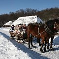 luty'2010 - plener ZTL Sanok w skansenie (zdjęcia Zygmunta Natera) #plener #luty #skansen #ZTLSANOK