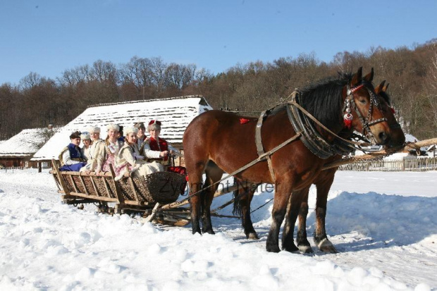 luty'2010 - plener ZTL Sanok w skansenie (zdjęcia Zygmunta Natera) #plener #luty #skansen #ZTLSANOK