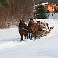 luty'2010 - plener ZTL Sanok w skansenie (zdjęcia Zygmunta Natera) #plener #luty #skansen #ZTLSANOK