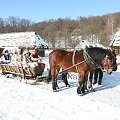 luty'2010 - plener ZTL Sanok w skansenie (zdjęcia Zygmunta Natera) #plener #luty #skansen #ZTLSANOK