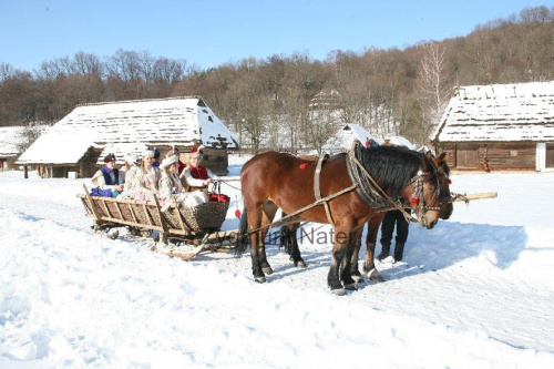 luty'2010 - plener ZTL Sanok w skansenie (zdjęcia Zygmunta Natera) #plener #luty #skansen #ZTLSANOK