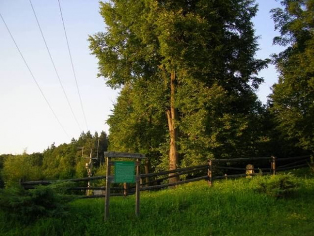 Krasiczyn (podkarpackie) - kirkut